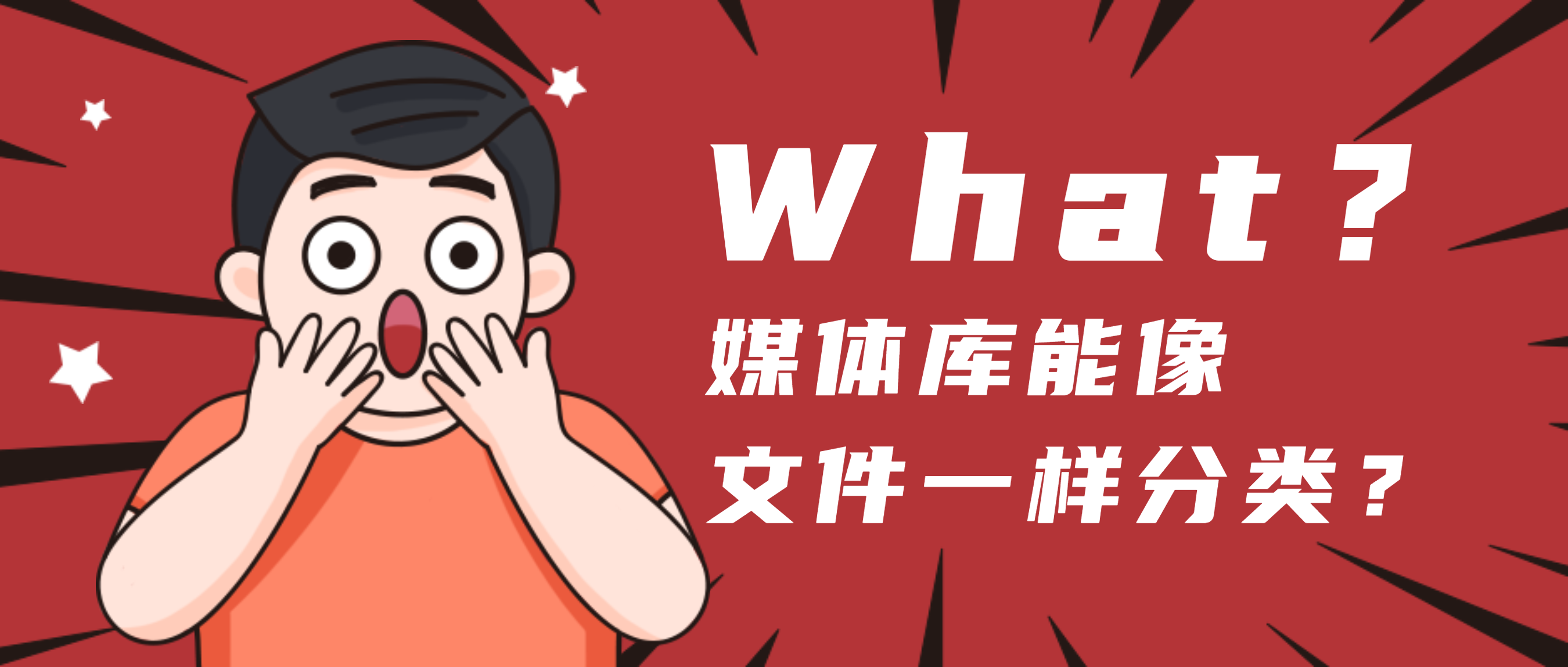 媒体库管理插件Filebird Pro v5.1.4[像管理电脑磁盘一样管理媒体库。]-知新网