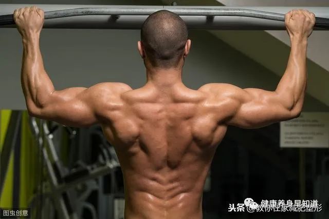 单杠引体向上动作训练方法和要领-知新网