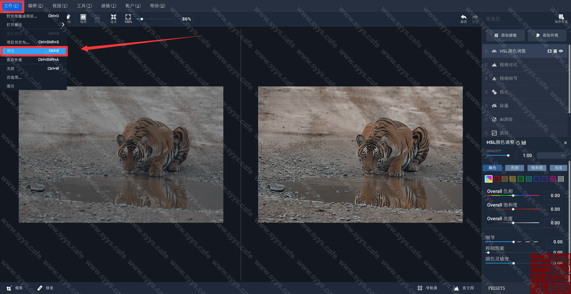 图片[18] - Topaz Studio 2 - 软件资源 - 岁有余生