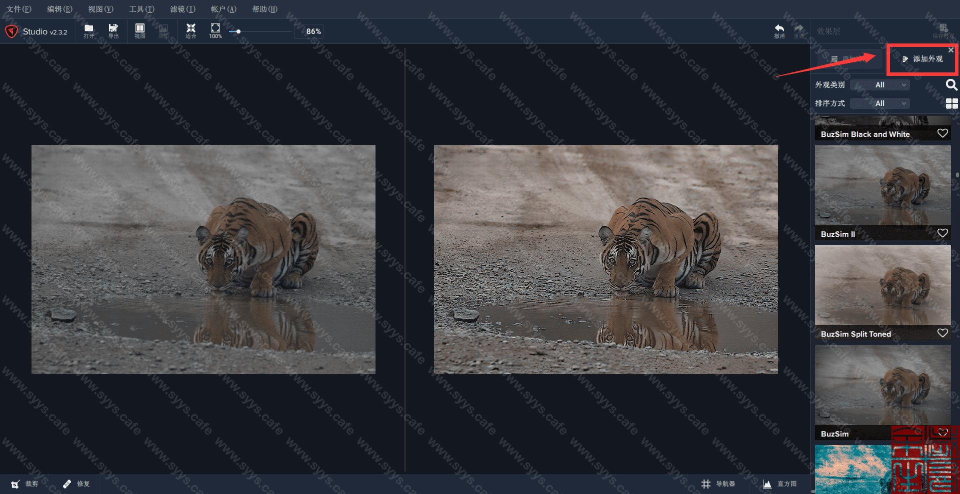 图片[20] - Topaz Studio 2 - 软件资源 - 岁有余生