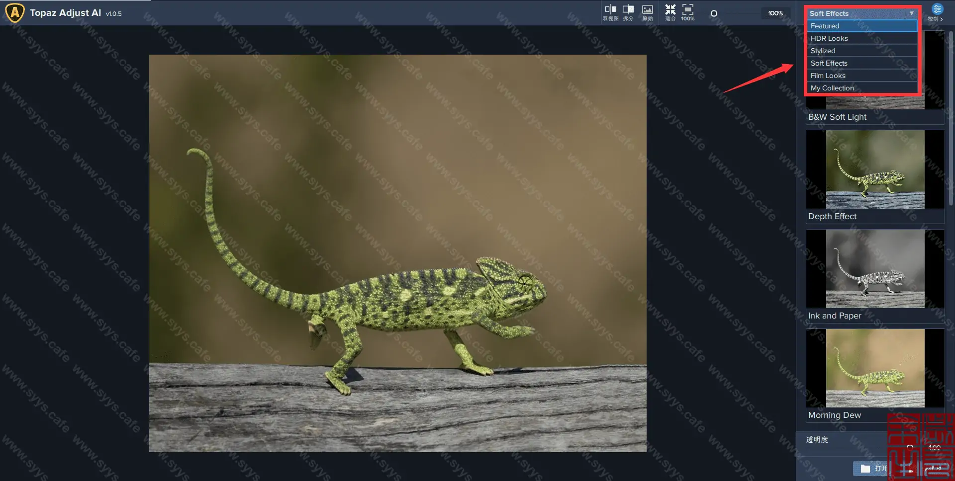 图片[3] - Topaz Adjust AI - 软件资源 - 岁有余生