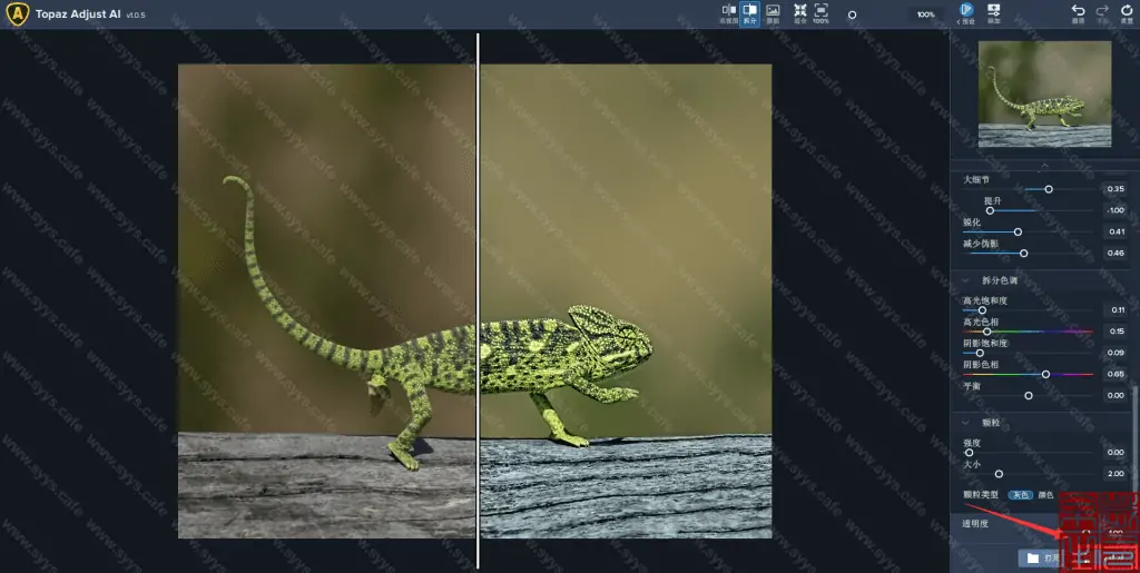 图片[13] - Topaz Adjust AI - 软件资源 - 岁有余生