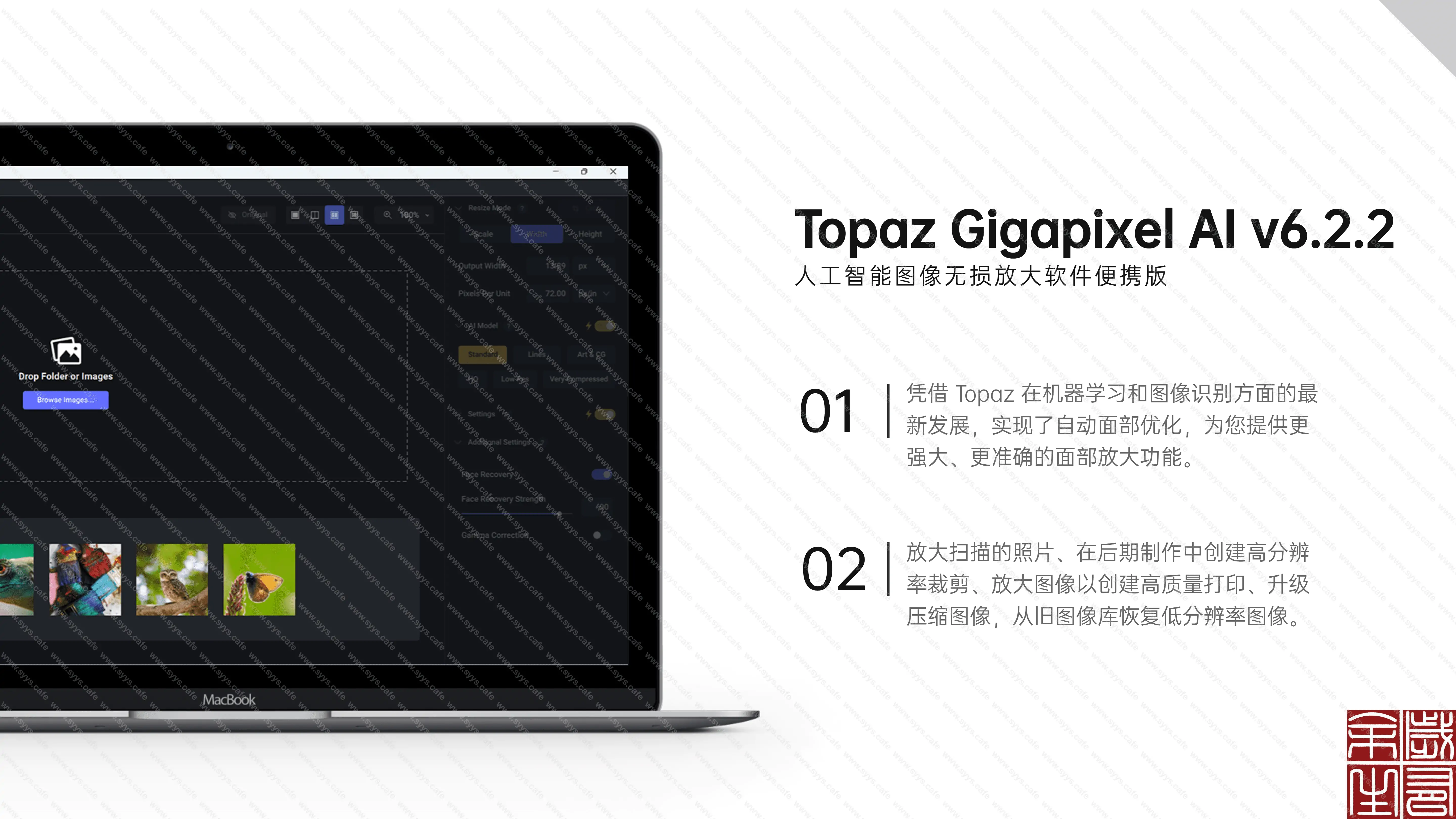 图片[1] - Topaz Gigapixel AI - 软件资源 - 岁有余生