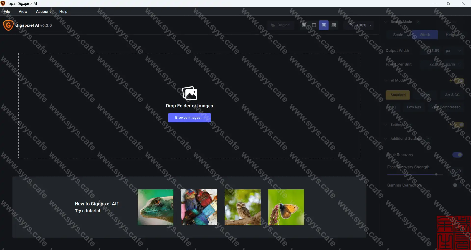 图片[2] - Topaz Gigapixel AI - 软件资源 - 岁有余生