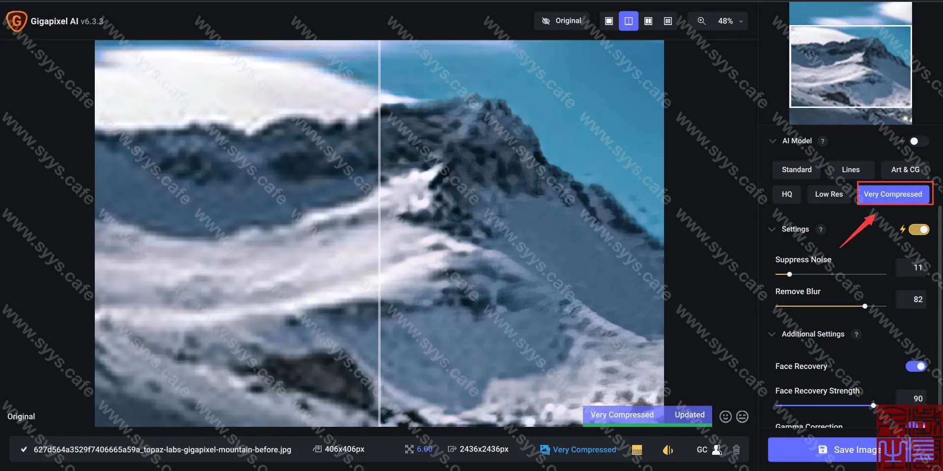 图片[11] - Topaz Gigapixel AI - 软件资源 - 岁有余生