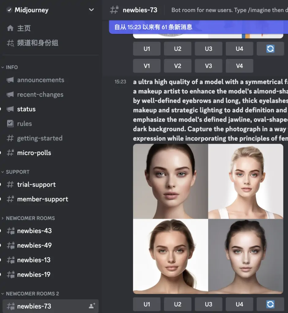 图片[6] - Midjourney从入门到精通 - 夜岚云网络
