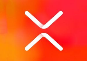 XMind Pro v1.9.7 安卓解锁会员版-知新网