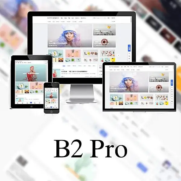 B2 PRO - WordPress多功能商用主题 v5.2.0免授权版-知新网