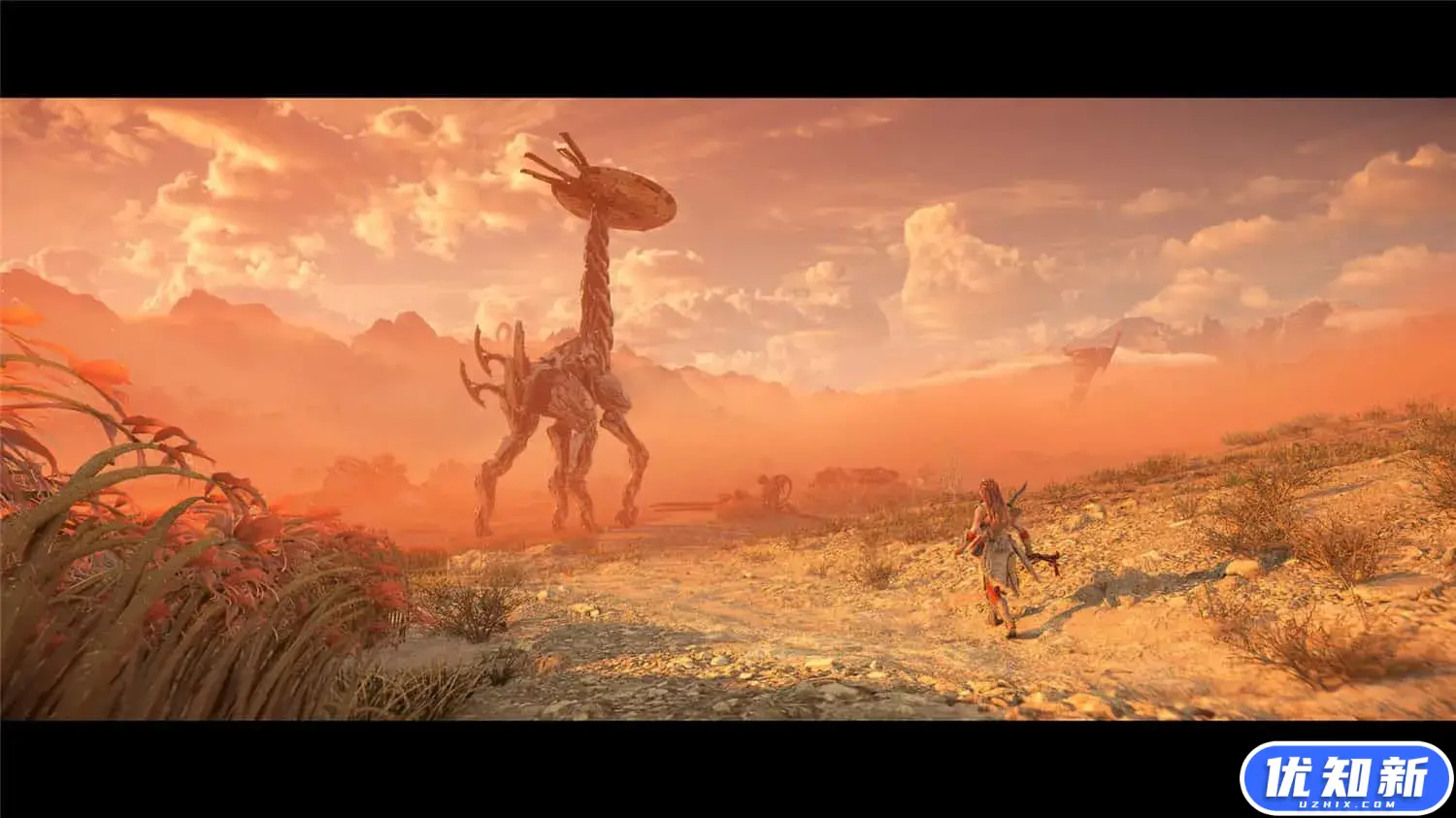 d2b5ca33bd20240405230654