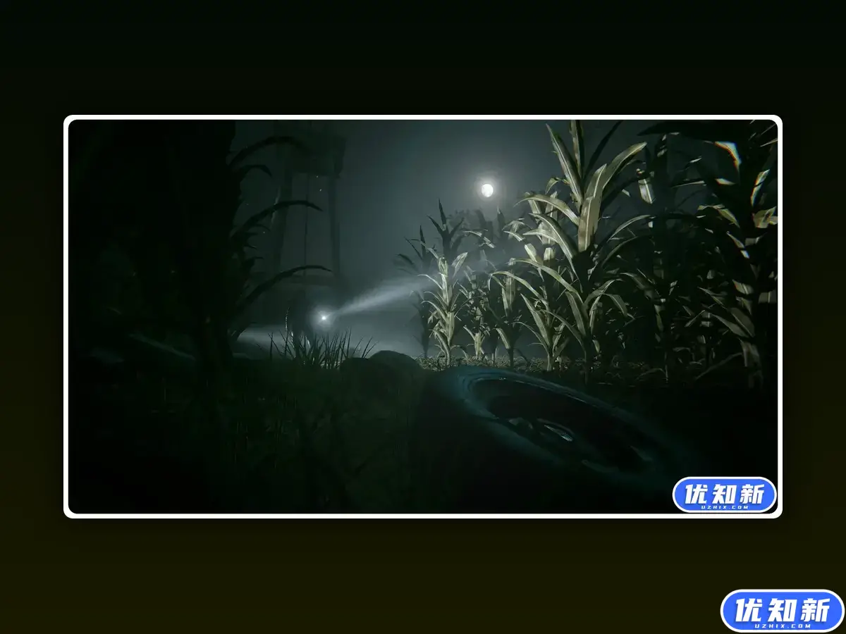 逃生2/Outlast 2-知新网