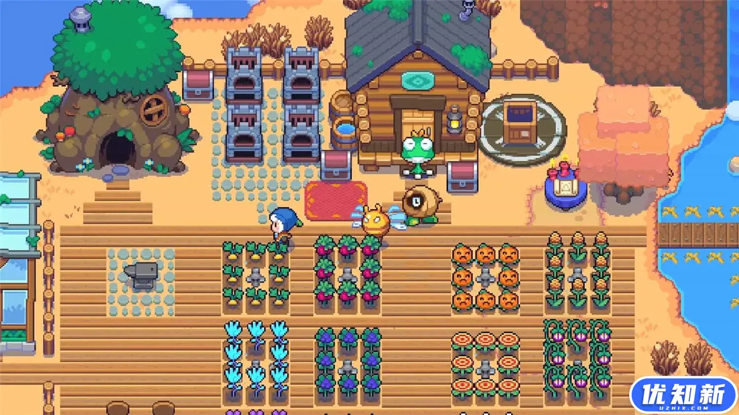 月光石岛/Moonstone Island-知新网