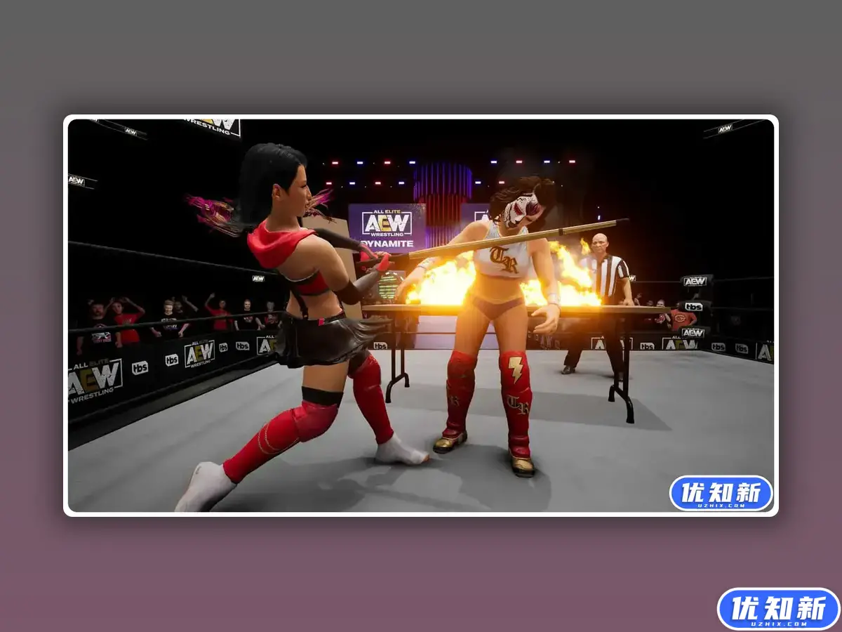 全精英摔角:永远的战斗/AEW: Fight Forever-知新网