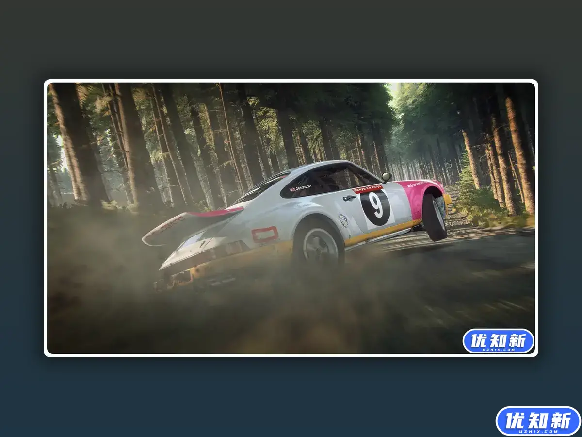 尘埃拉力赛2.0/DiRT Rally 2.0-知新网