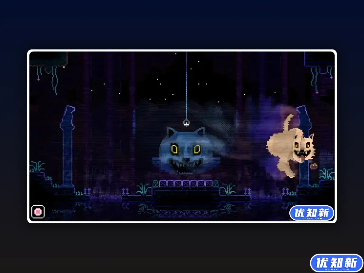 动物之井/ANIMAL WELL-知新网