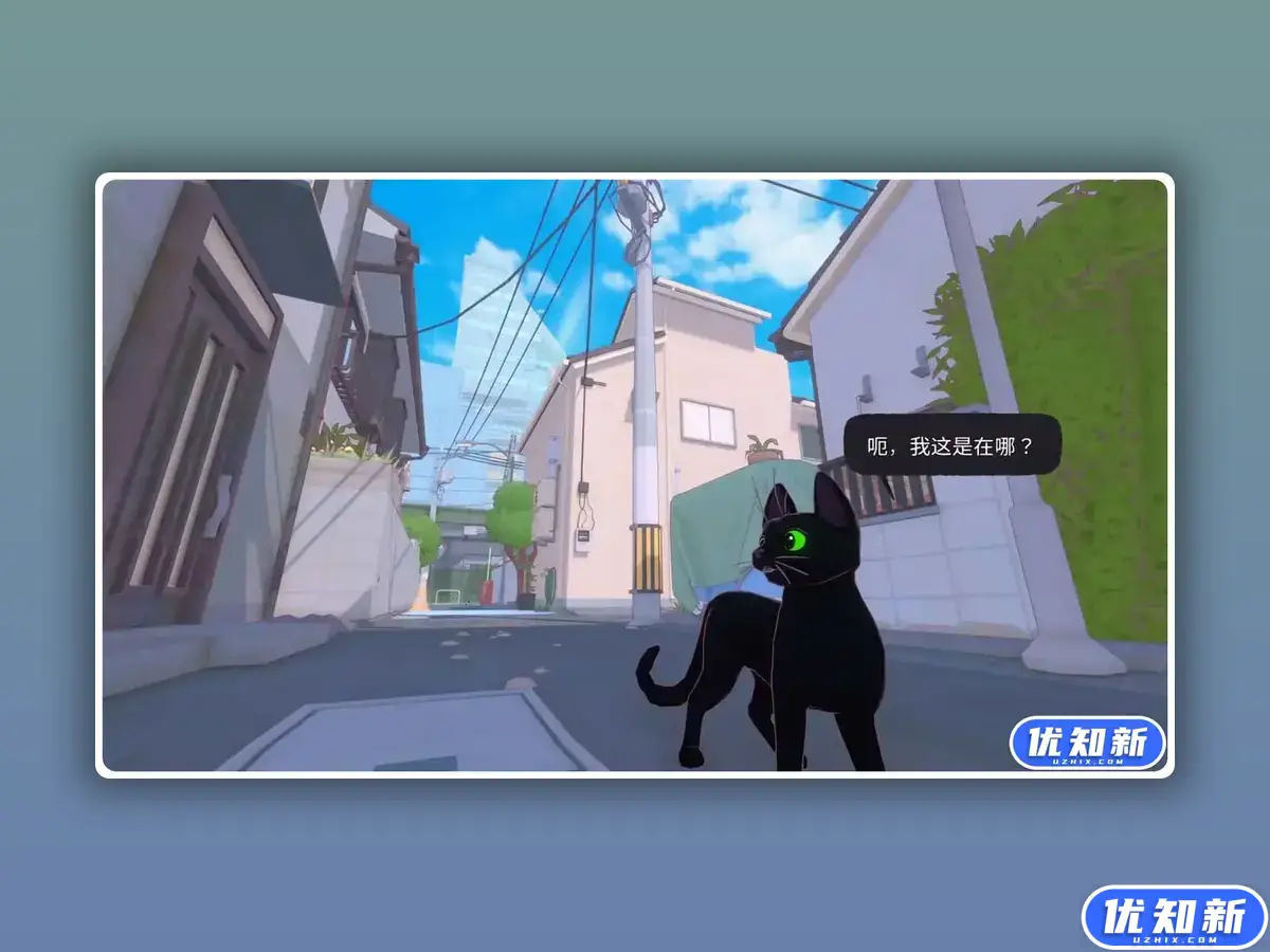 小猫咪大城市/Little Kitty, Big City-知新网