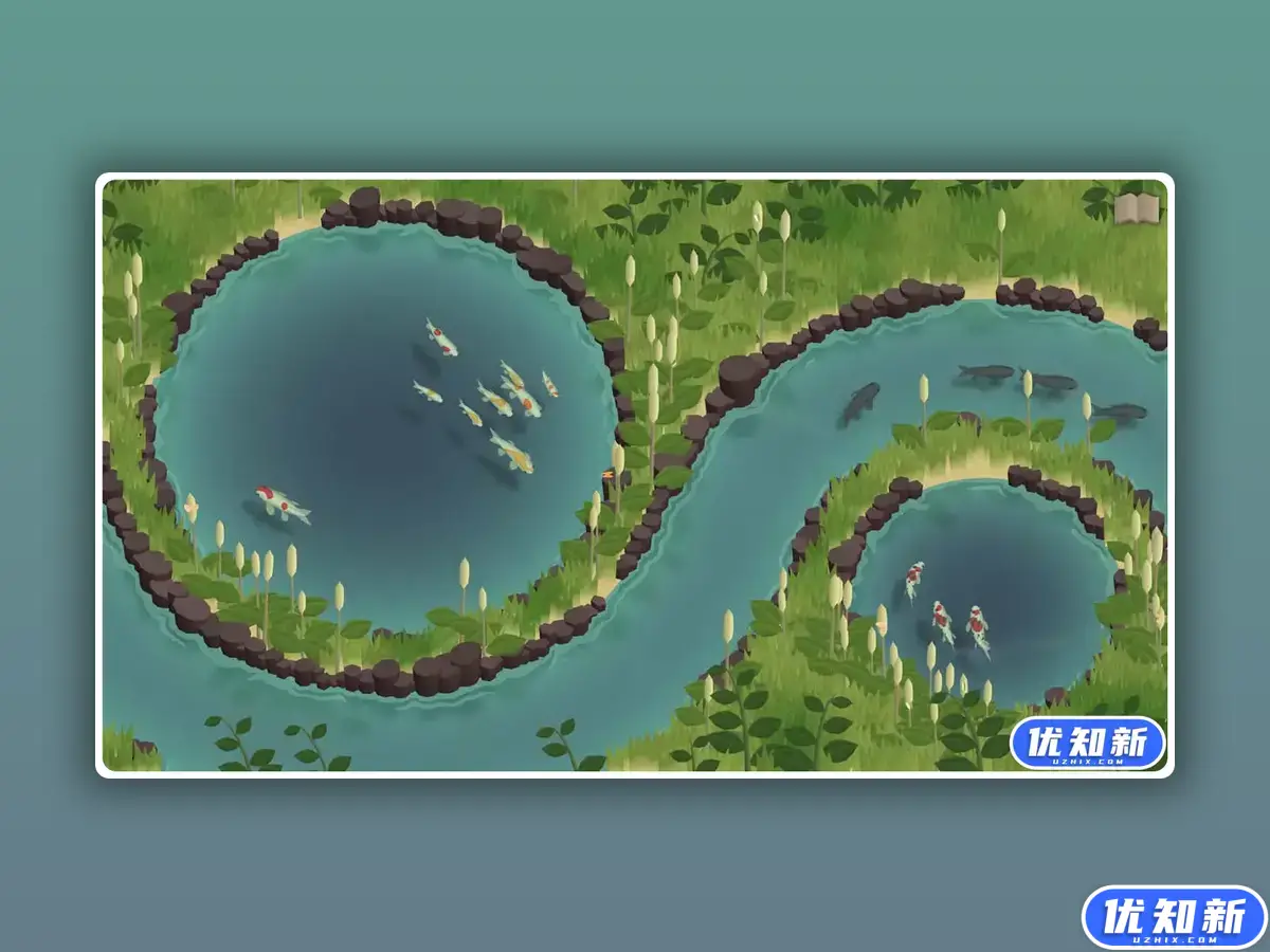 锦鲤养殖场/Koi Farm-知新网