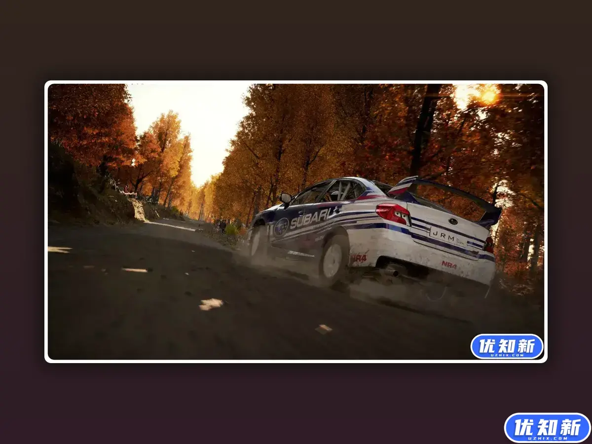 尘埃4/DiRT 4