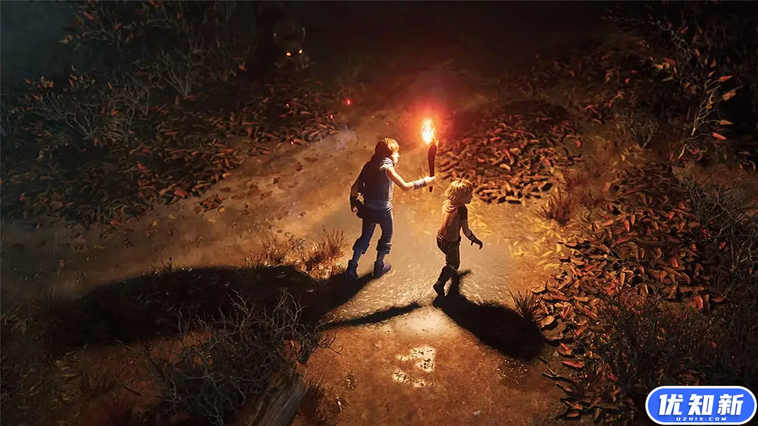 兄弟：双子传说 重制版/Brothers: A Tale of Two Sons Remake-知新网