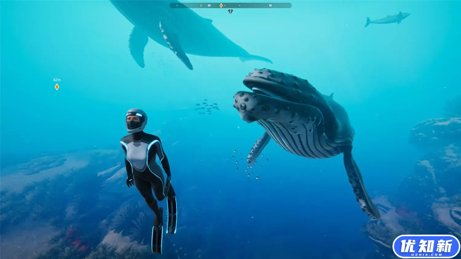 深海超越/Beyond Blue-知新网