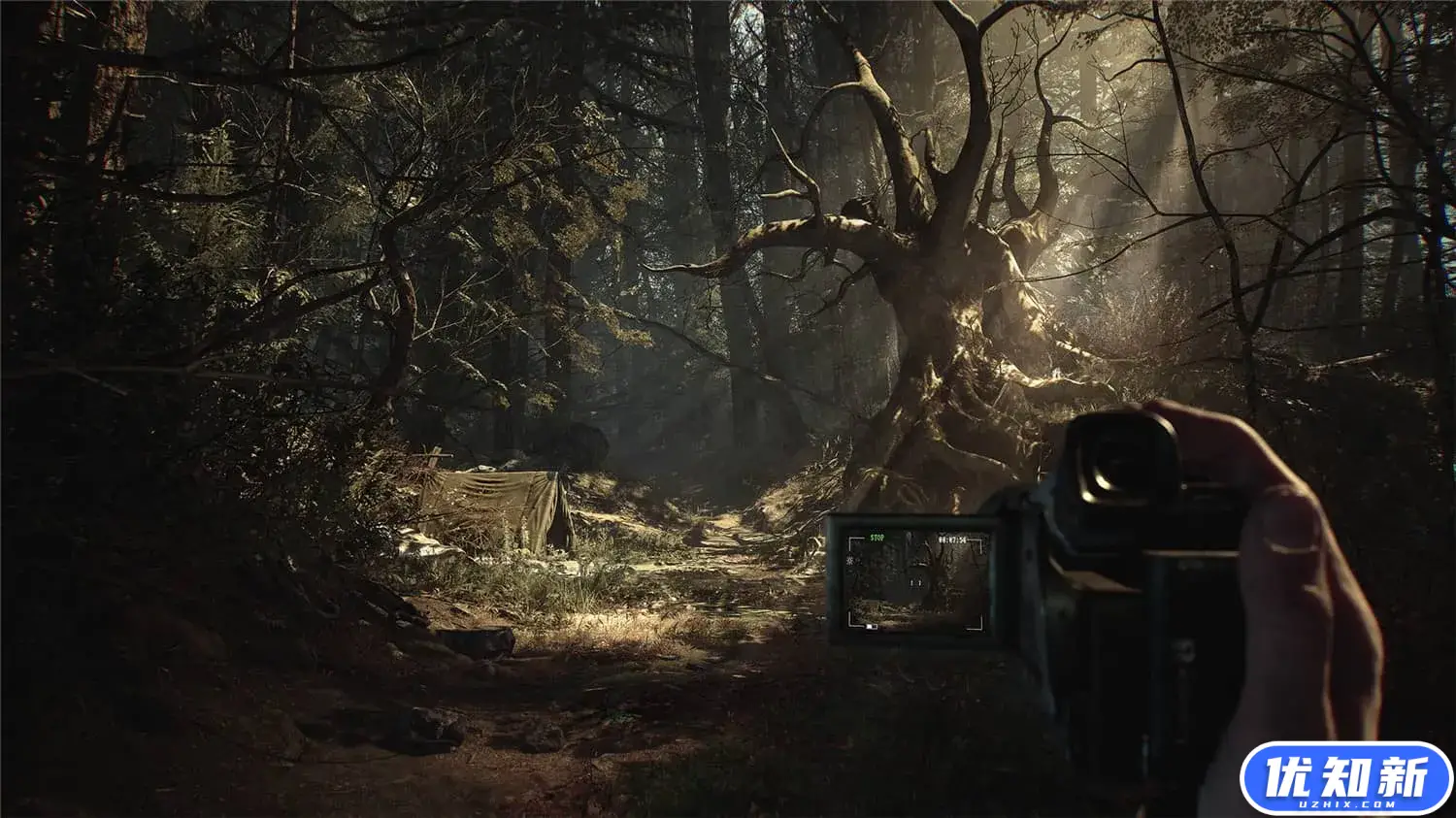 布莱尔女巫/Blair Witch-知新网