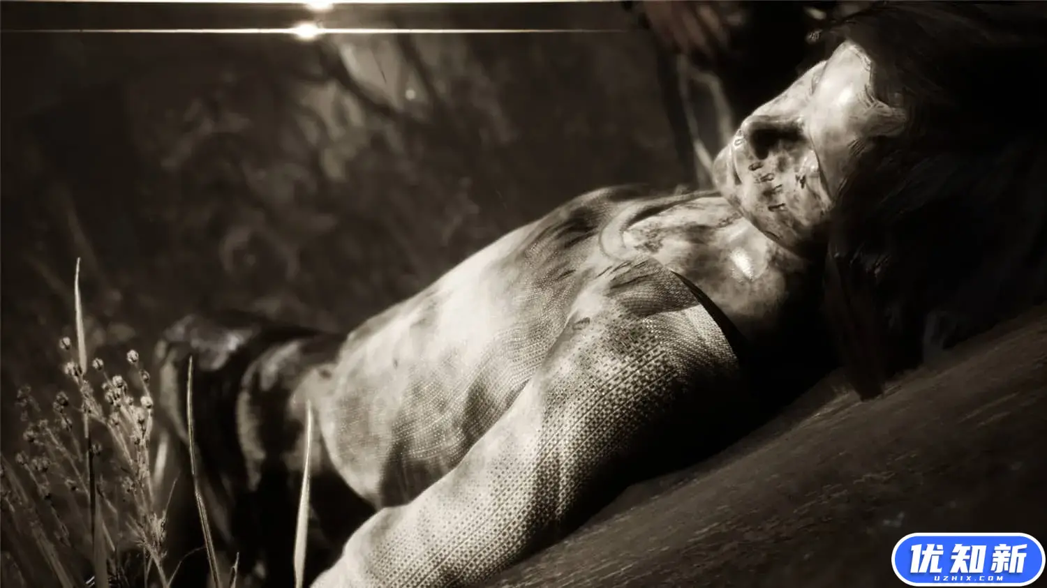 安娜贝尔的诅咒/Curse of Anabelle-知新网