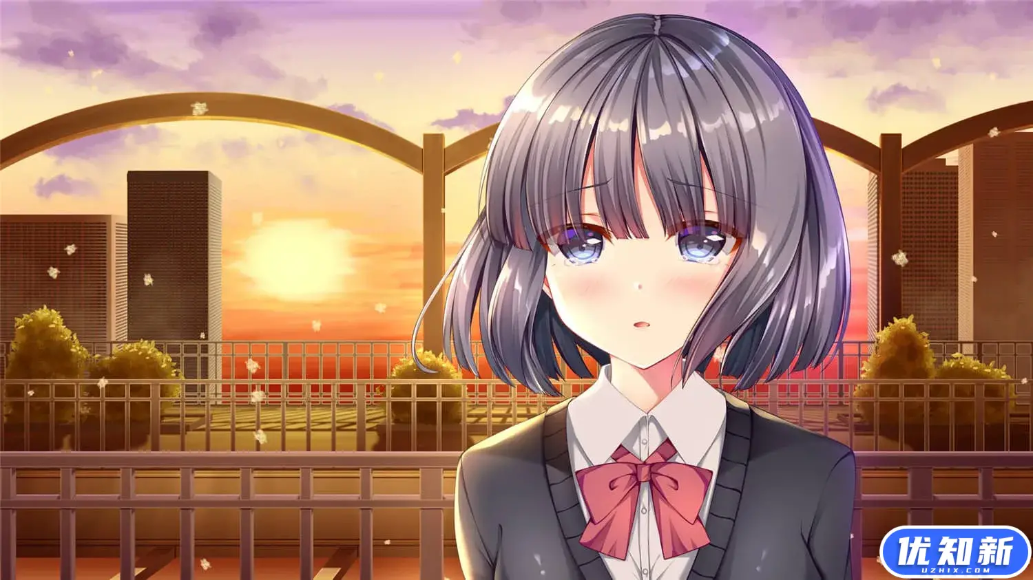 白色之翼/White Wings-知新网