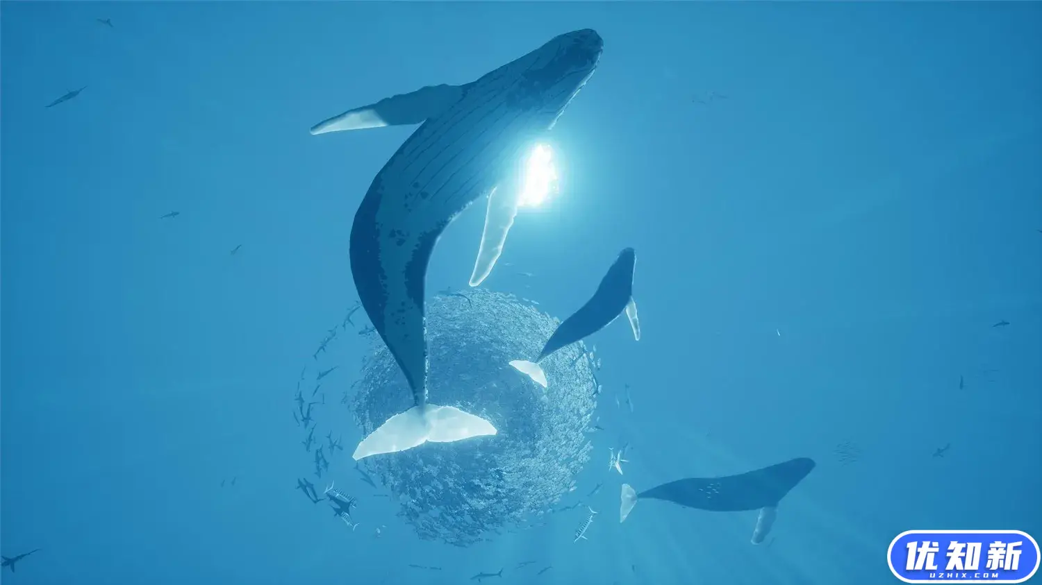 智慧之海/海洋探索/深海探险/ABZU-知新网