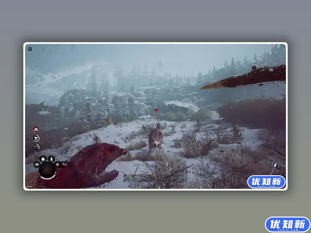 冬日幸存者/Winter Survival-知新网