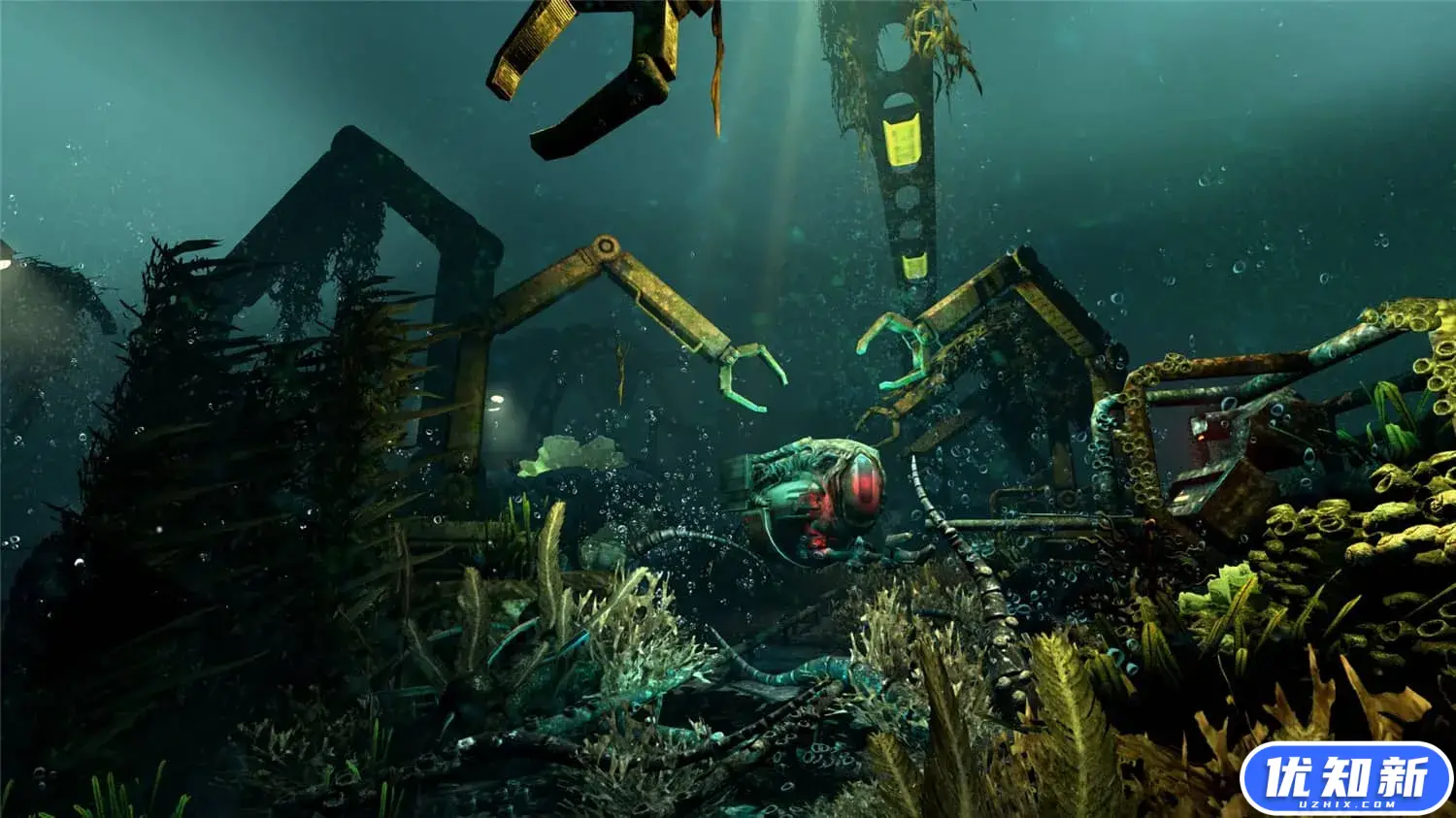 活体脑细胞/SOMA-知新网