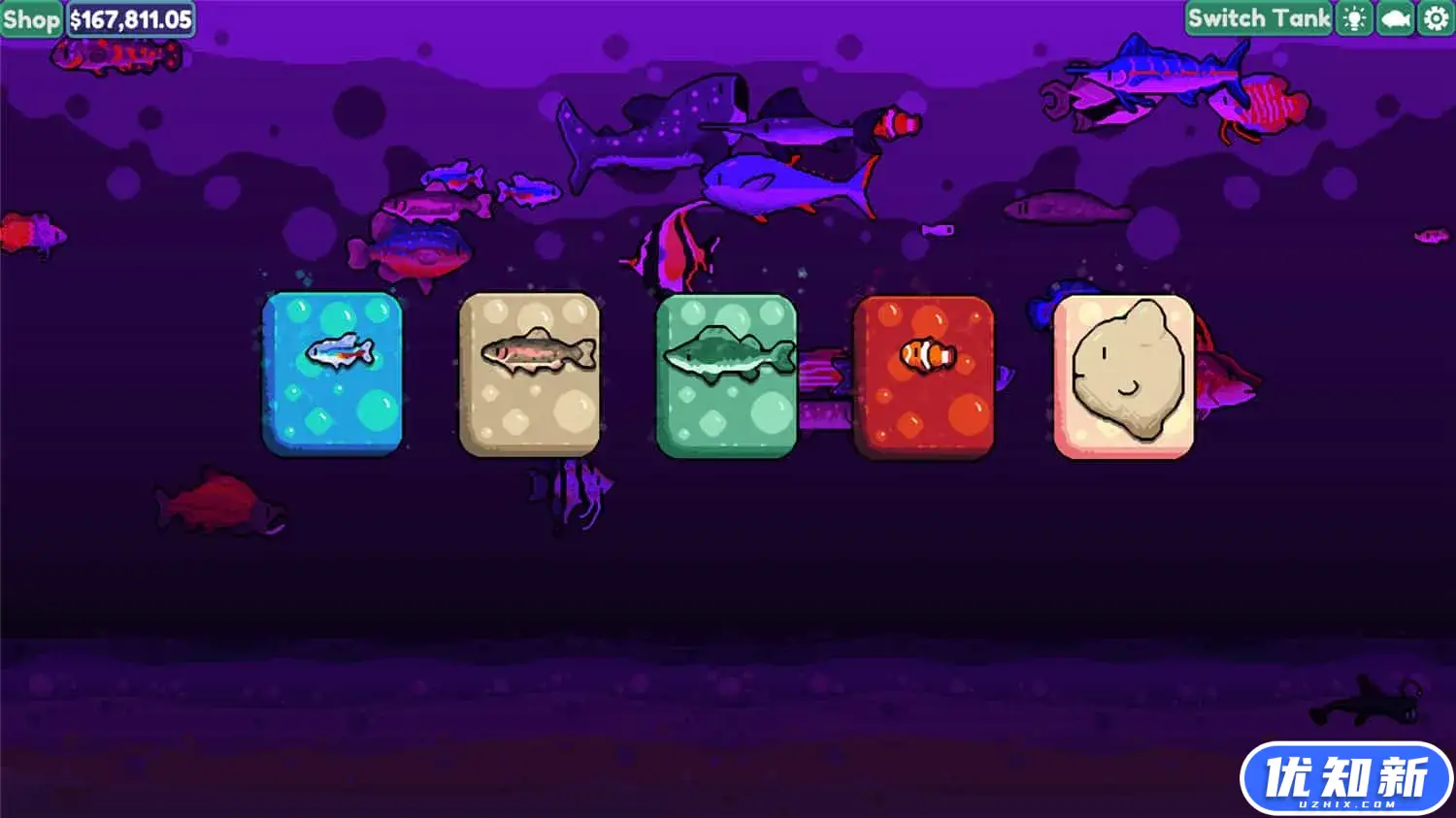 轻松水族馆/Chillquarium-知新网