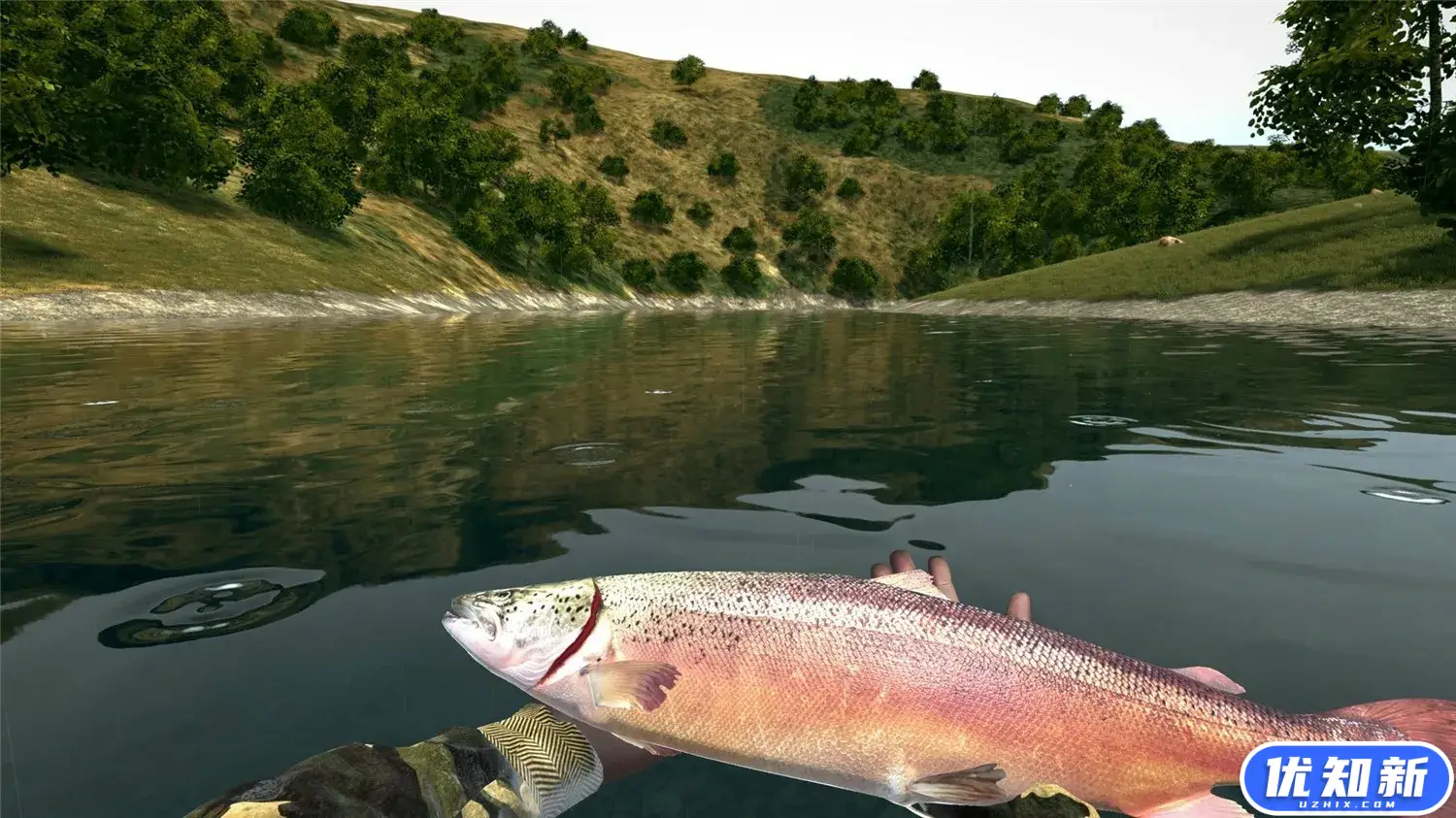 终极钓鱼模拟器/Ultimate Fishing Simulator-知新网