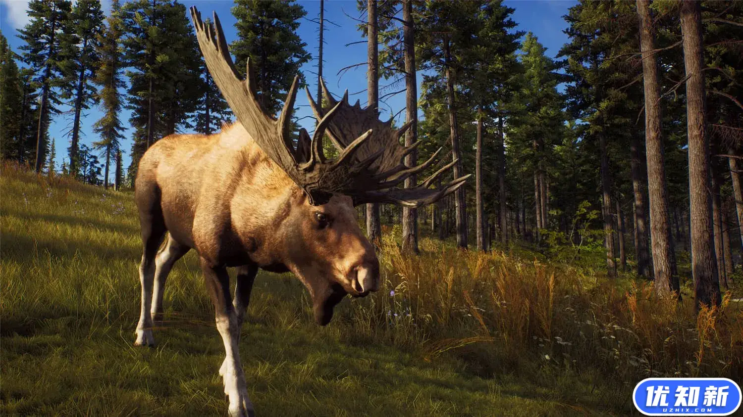 狩猎之道/猎人之路/Way of the Hunter-知新网