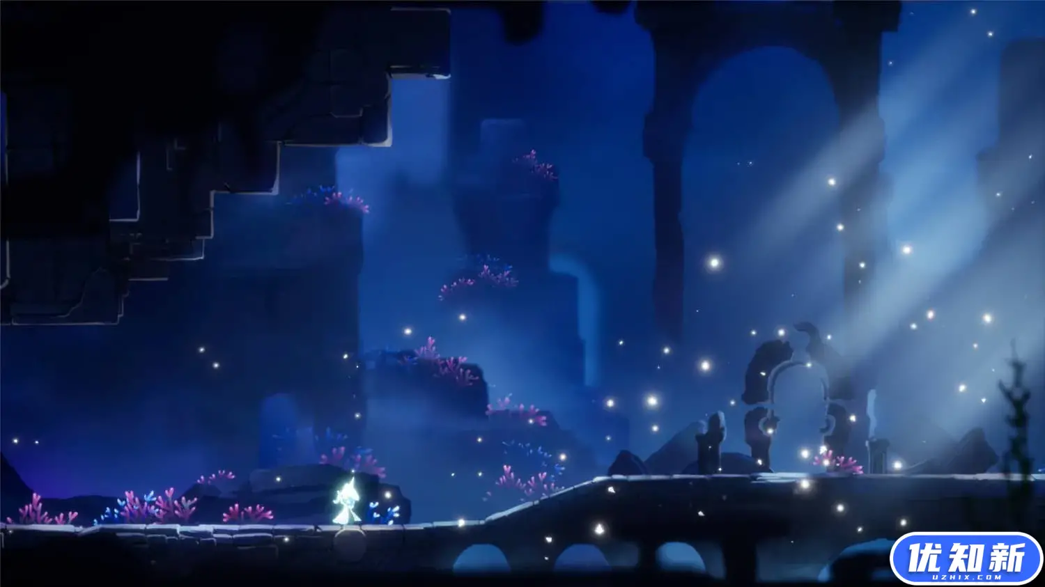 逐光之旅/Lumione-知新网