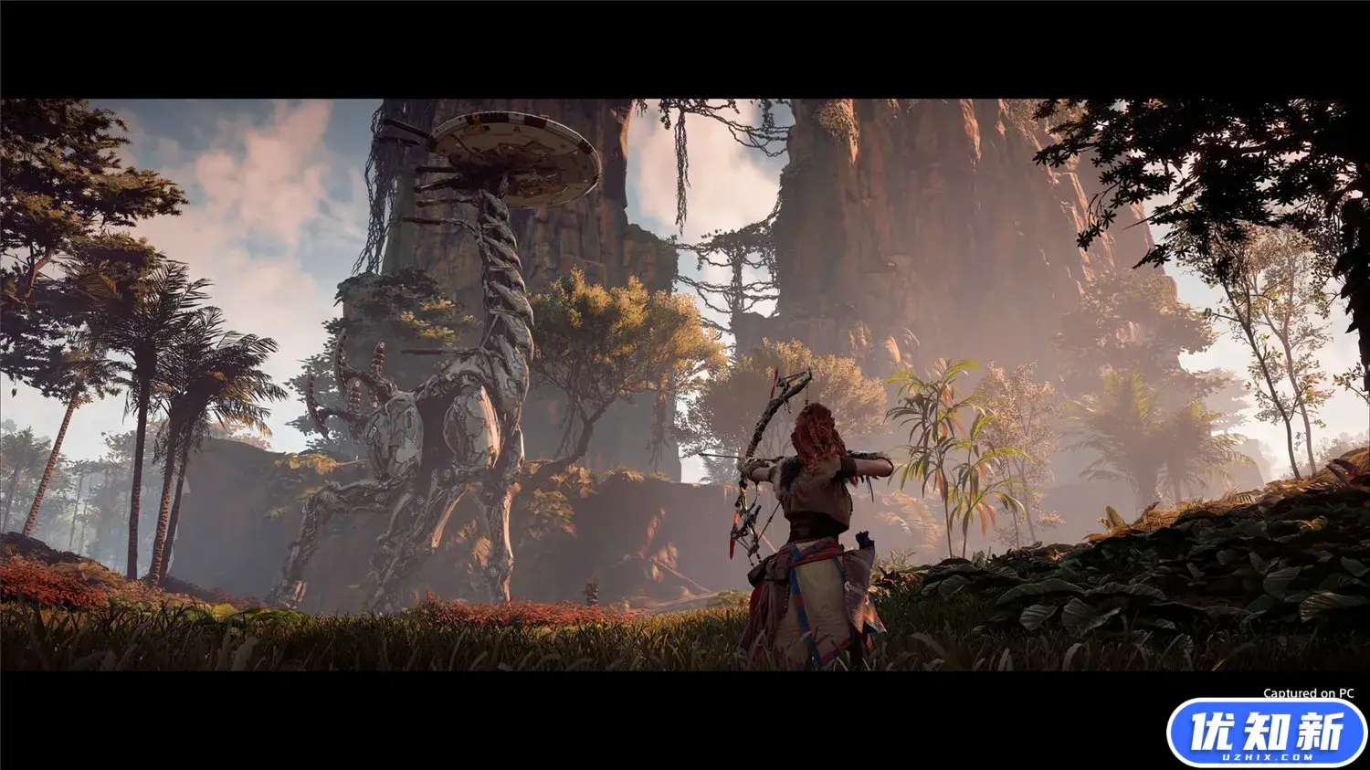 地平线：零之曙光完全版/Horizon Zero Dawn Complete Edition-知新网