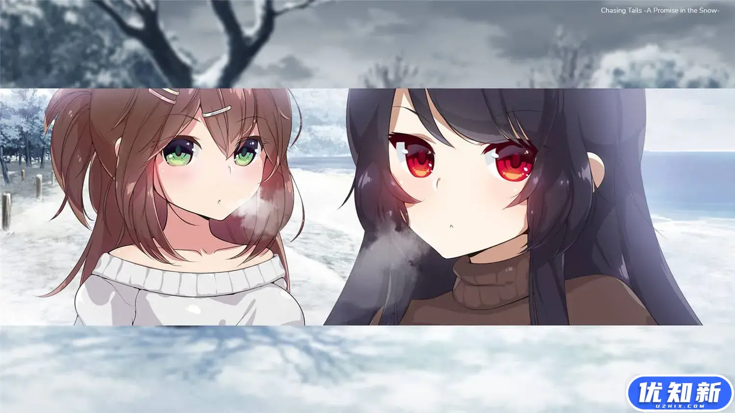 雪中誓约/Chasing Tails-知新网