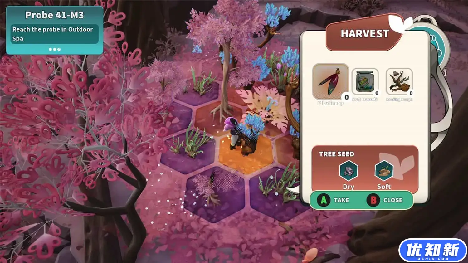 远花/Distant Bloom-知新网