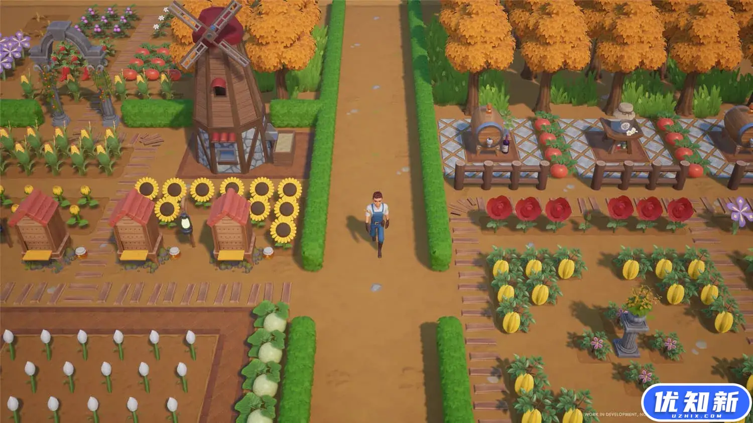 珊瑚岛/Coral Island-知新网