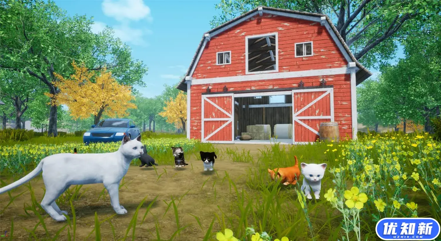 猫模拟器/Cat Simulator-知新网