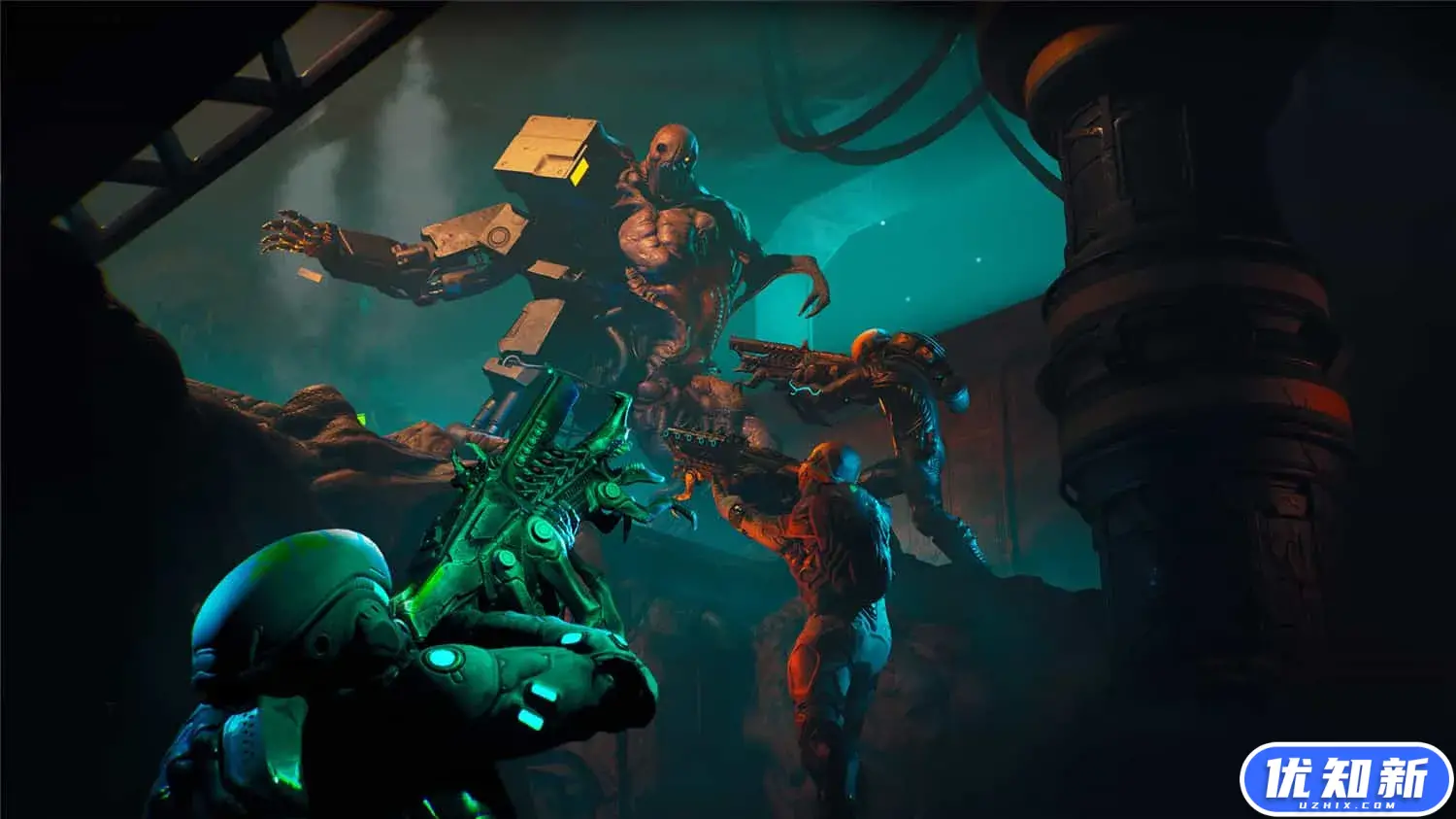 撕裂/RIPOUT-知新网