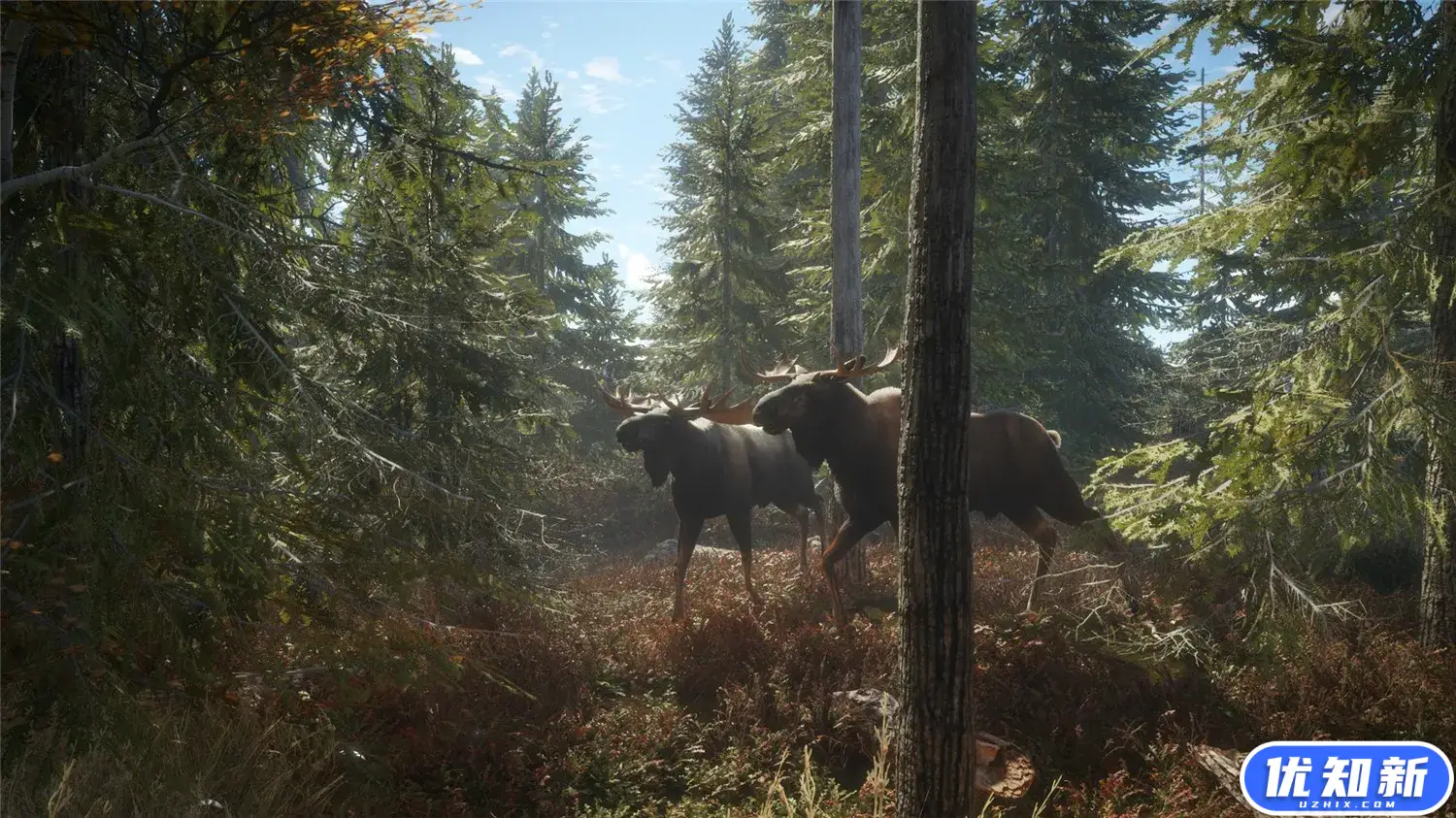 猎人：荒野的召唤/theHunter: Call of the Wild-知新网