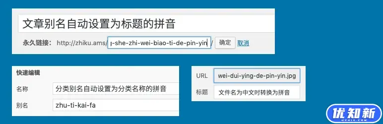 WordPress文章别名翻译插件：Wenprise Pinyin Slug-知新网