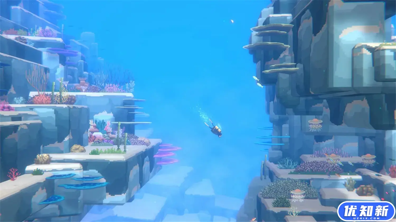 潜水员戴夫/DAVE THE DIVER-知新网