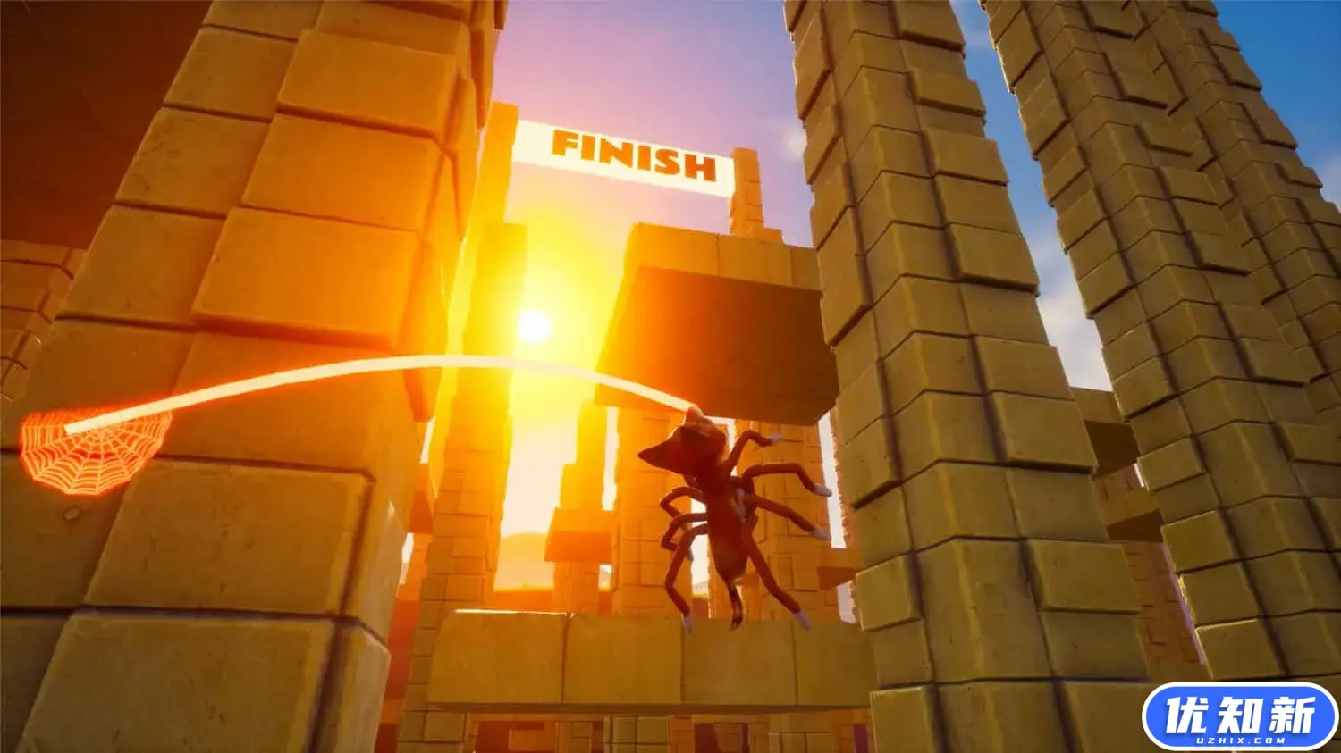 蜘蛛狐狸/Spider Fox-知新网