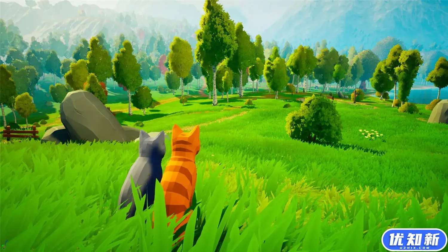 猫咪小镇/Cat Town-知新网