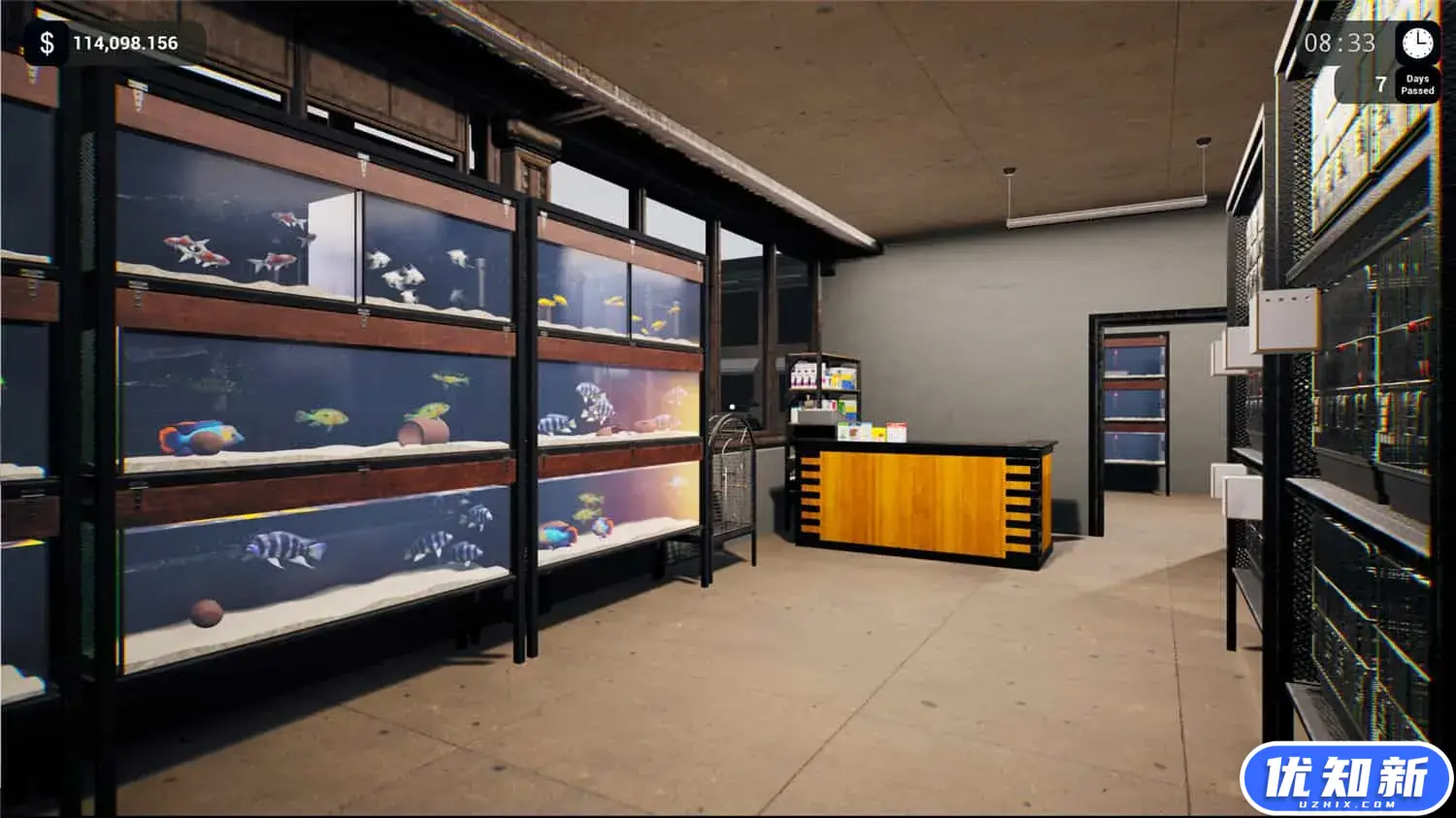 异国宠物商店模拟器/Exotica: Petshop Simulator-知新网