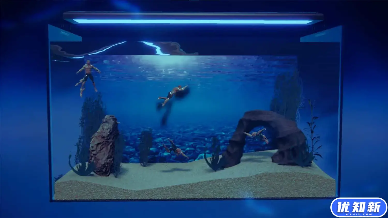 壮士水族馆 -肌肉水族馆模拟器-/Machorium -Muscle Aquarium Simulator--知新网