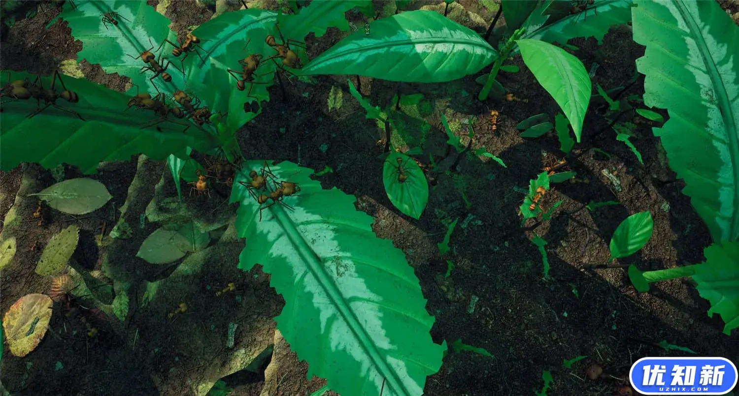 地下蚁国/Empires of the Undergrowth-知新网