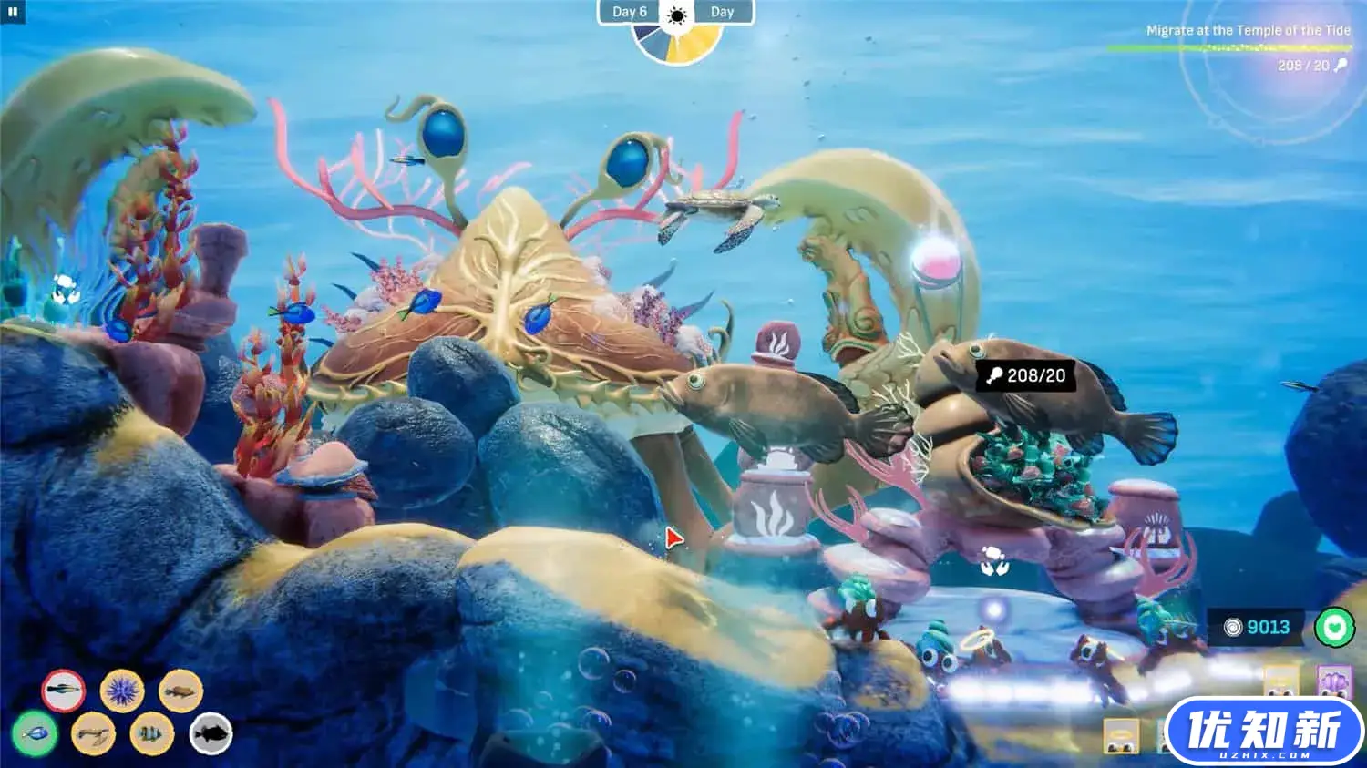 螃蟹之神/Crab God-知新网