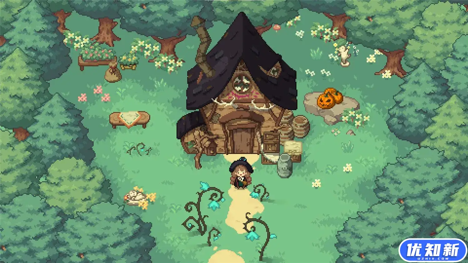 林中小女巫/Little Witch in the Woods-知新网