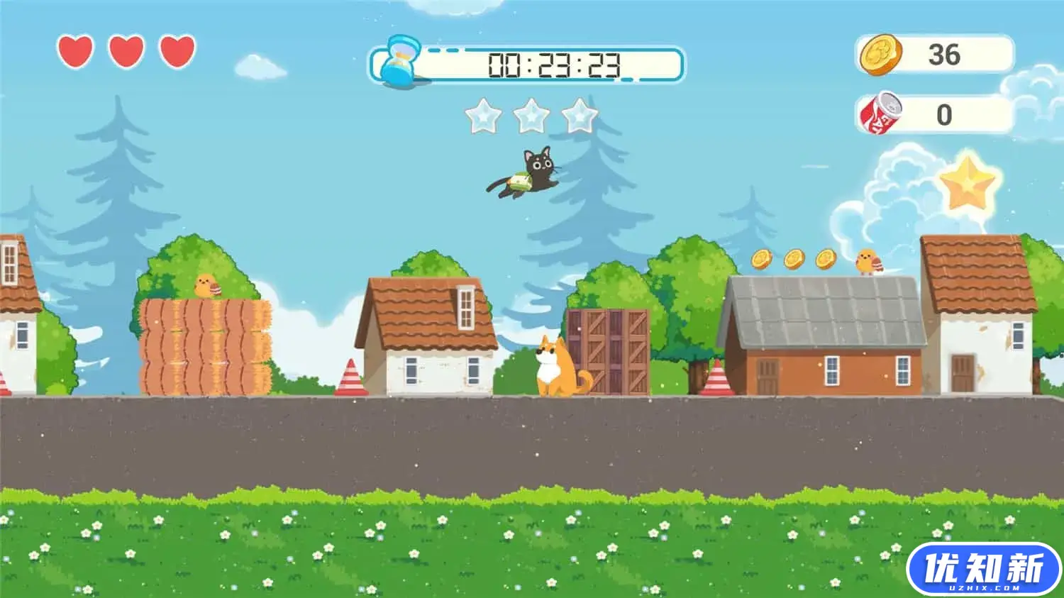 猫咪快递/CatExpress-知新网